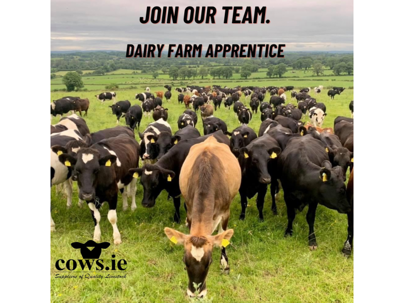 join-our-team.-dairy-farm-apprentice