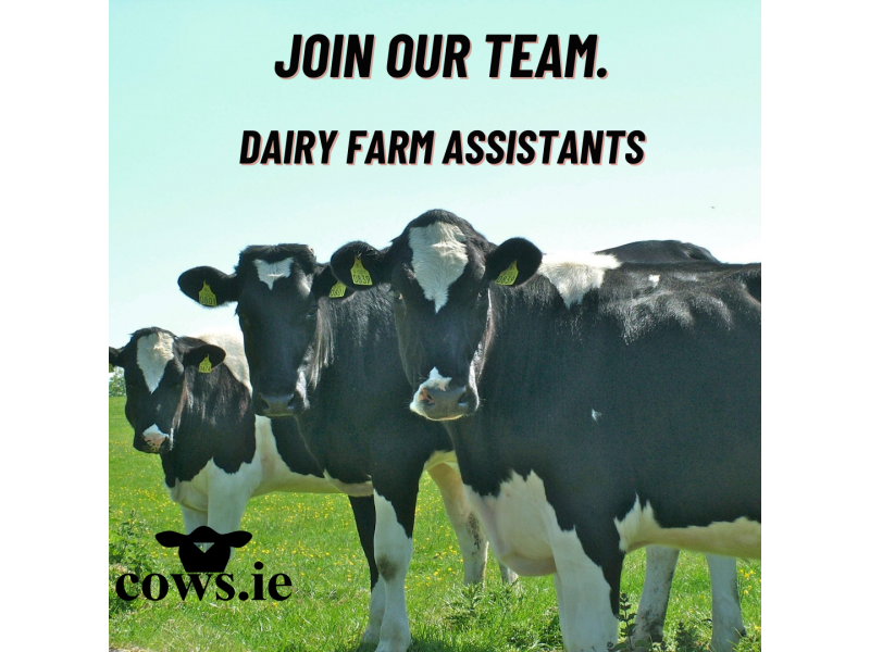 join-our-team.-dairy-farm-assistants