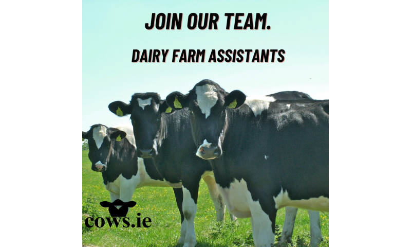 join-our-team.-dairy-farm-assistants