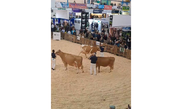 The Bath and West Dairy Show