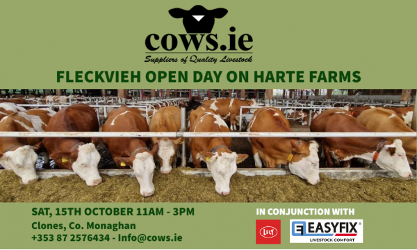 Fleckvieh Open Day on Harte Farms
