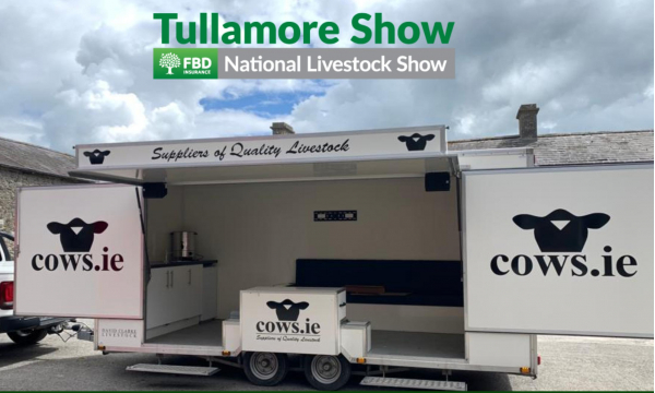 Tullamore Show 14th August 2022